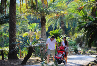 Famiglia passeggia con il passeggino tra le palme al campeggio Rosselba le Palme in Toscana, Italia.
