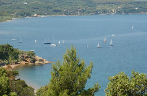 View of the bay with sailboats at Campsite «Rosselba le Palme», a holiday park in Tuscany, Italy.