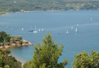 View of the bay with sailboats at Campsite «Rosselba le Palme», a holiday park in Tuscany, Italy.