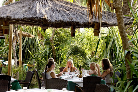 Zona pranzo all'aperto tra palme al campeggio Rosselba le Palme, villaggio vacanze in Toscana, Italia.