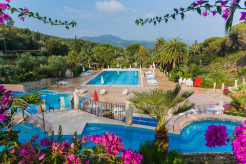 Vista delle piscine e delle palme al campeggio Rosselba le Palme in Toscana, Italia, con fiori in primo piano.