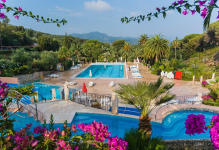 Vista delle piscine e delle palme al campeggio Rosselba le Palme in Toscana, Italia, con fiori in primo piano.