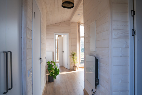 Corridoio luminoso in legno con piante in vaso, presso Slowlodge 2, Zomerlicht, Paesi Bassi.