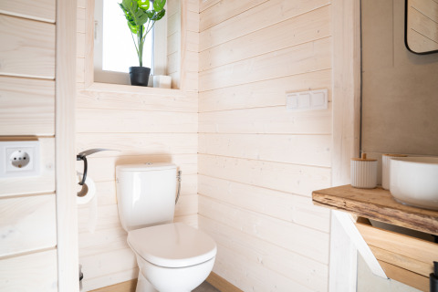 Bagno moderno con wc bianco, pannelli in legno e pianta alla finestra presso Slowlodge 2, Zomerlicht, Paesi Bassi.