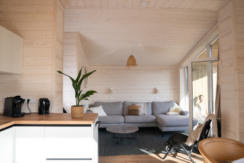 Lichte, moderne woonkamer van Slowlodge Sage bij Zomerlicht, Nederland, met bank en grote raampartijen.