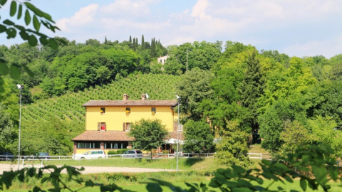 Casa rural amarilla entre viñedos en Agriturismo Le Sorgive e Le Volpi, parque en Lombardía, Italia.