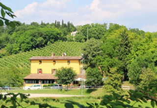 Casa di campagna gialla tra vigneti verdi ad Agriturismo Le Sorgive e Le Volpi, Lombardia, Italia.