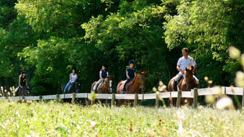 People riding horses along a wooded trail at Agriturismo Le Sorgive e Le Volpi holiday park in Lombardy, Italy.