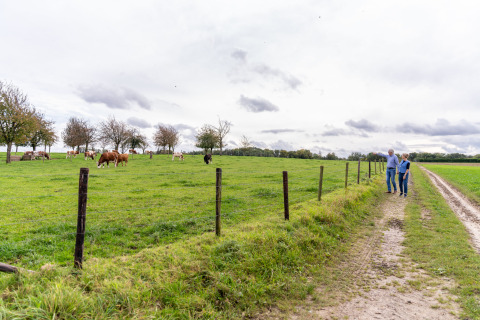 Twee mensen wandelen op een zandpad langs een weiland met koeien bij Resort Mooi Bemelen, Nederland.