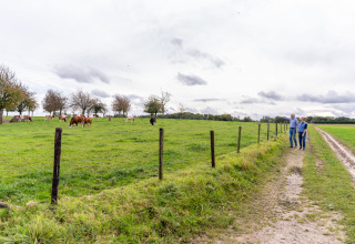 Twee mensen wandelen op een zandpad langs een weiland met koeien bij Resort Mooi Bemelen, Nederland.