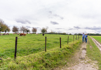 Deux personnes marchent près d'un pré clôturé avec des vaches au Resort Mooi Bemelen, Pays-Bas.