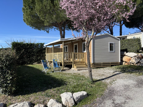 Mobil-home « New Horizon » au Flower Camping Provence Vallée en France, entouré de verdure et arbres en fleurs.