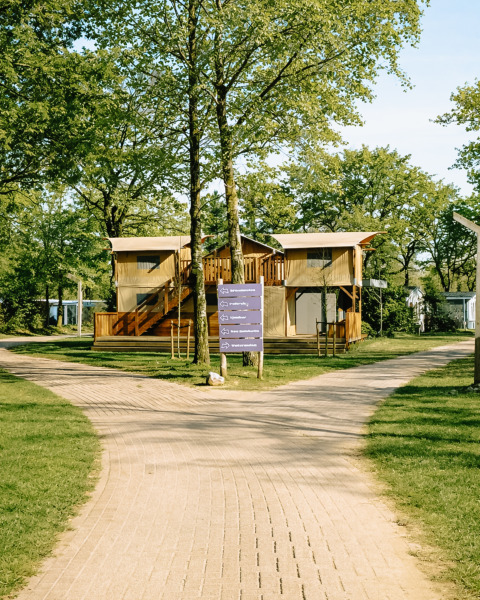 Foto van Treehouse Tent met bubbelbad, omgeven door bomen en gesplitste paden in een rustige omgeving.