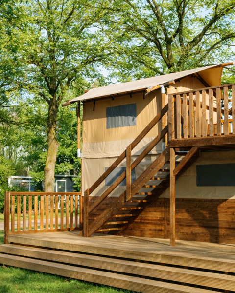 Boomhuistent bij Holiday park Mölke in Nederland, met houten terras en omgeven door groene bomen.