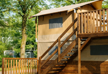 Tente cabane dans les arbres au Holiday park Mölke aux Pays-Bas, terrasse en bois et arbres luxuriants.