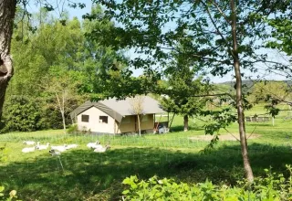 Scena tranquilla con capanna e campo erboso con oche nel campeggio Les Trexons, Grand Est, Francia.
