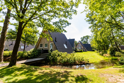 Casa tiny Wellness Lodge en Hof van Salland, Países Bajos, rodeada de árboles verdes y un estanque.