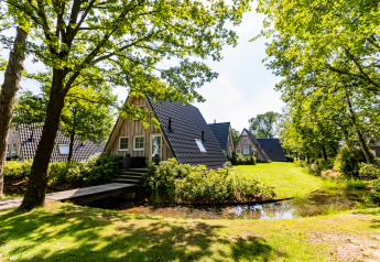 Wellness Lodge Tiny House im Hof van Salland, Niederlande, umgeben von Bäumen und einem kleinen Teich.