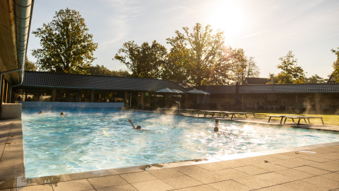 Piscine extérieure près d'une tiny house avec des nageurs, entourée d'arbres sous le soleil.