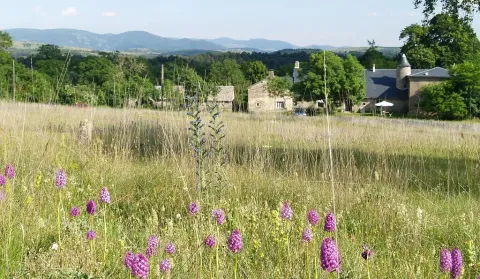 Prato fiorito con edifici antichi al Domaine de Pradines, parco vacanze in Occitania, Francia.