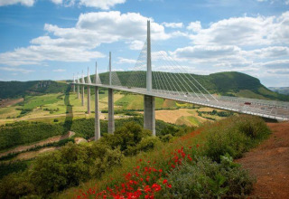 Vista del Viadotto di Millau dal Domaine de Pradines, Occitania, Francia, con colline e fiori di campo.