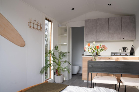 Intérieur de lodge minimaliste avec plante, cuisine, table et grande fenêtre au Slowcabin Nest aux Pays-Bas.