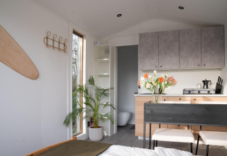 Intérieur de lodge minimaliste avec plante, cuisine, table et grande fenêtre au Slowcabin Nest aux Pays-Bas.