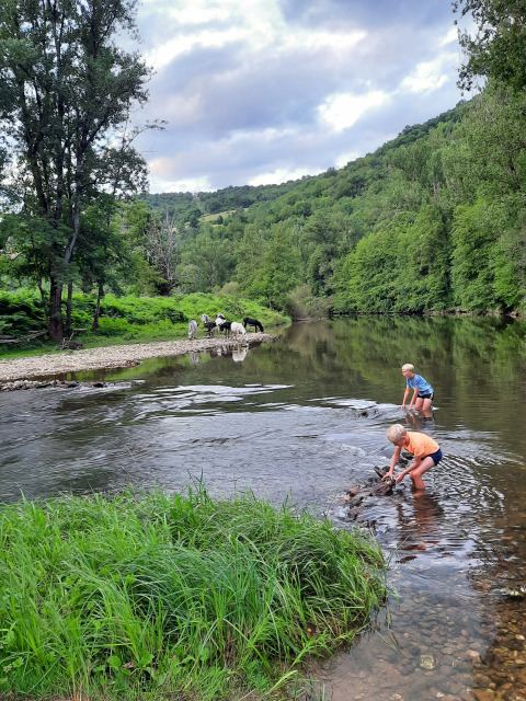 Due bambini giocano in un fiume poco profondo con cavalli al pascolo vicino al campeggio La Prade in Francia.