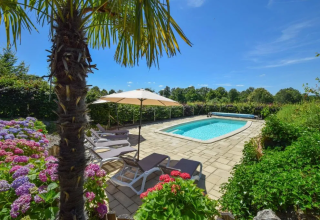 Area piscina soleggiata con lettini, ombrellone, palma e fiori al Domaine d'Essendieras, Nouvelle-Aquitaine.