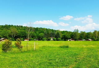 Ampio prato con baite al campeggio La Faz, parco vacanze in Bourgogne-Franche-Comté, Francia.