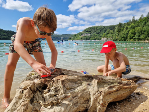 Due bambini giocano con macchinine su un grande tronco al lago nel campeggio La Faz in Borgogna-Franca Contea, Francia.