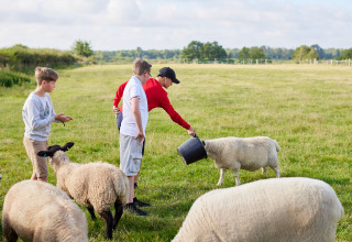 Des enfants nourrissent des moutons à BoerenBed College Farm, un parc de vacances à l’est de l’Angleterre.