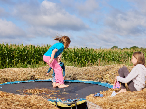 Children play on a trampoline surrounded by hay at BoerenBed College Farm, East of England, United Kingdom.