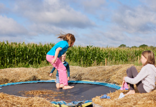 Children play on a trampoline surrounded by hay at BoerenBed College Farm, East of England, United Kingdom.