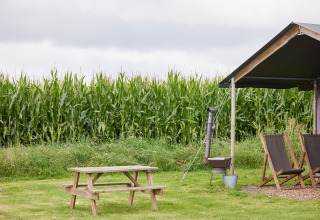 Picknicktisch, Zelt und Liegestühle neben einem Maisfeld im Ferienpark BoerenBed College Farm.