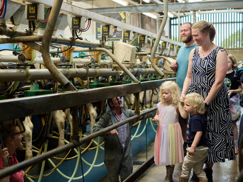 Familia con niños visita una granja y observa el proceso de ordeño en BoerenBed Billingsmoor Farm en Inglaterra.