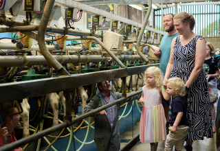 Famille avec enfants visitant une ferme laitière et observant la traite à BoerenBed Billingsmoor Farm, Angleterre.