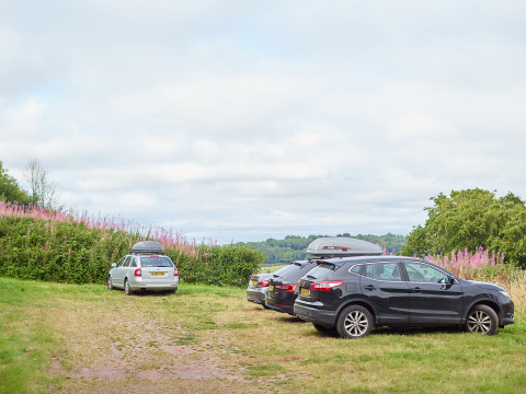 Voitures stationnées sur l’herbe près de buissons fleuris à BoerenBed Billingsmoor Farm, sud-ouest de l’Angleterre.