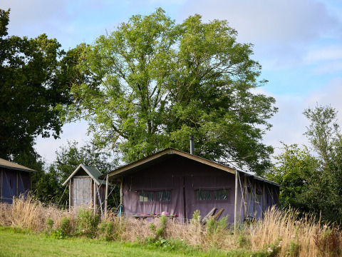 Une tente et un abri à BoerenBed Billingsmoor Farm, un parc de vacances dans le sud-ouest de l’Angleterre, entourés d’arbres.