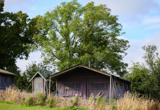 Et telt og en lille skur på BoerenBed Billingsmoor Farm feriepark i det sydvestlige England, omkranset af træer.