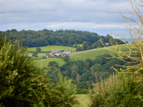Vue panoramique sur collines vertes et bois à BoerenBed Billingsmoor Farm, sud-ouest de l'Angleterre, Royaume-Uni.