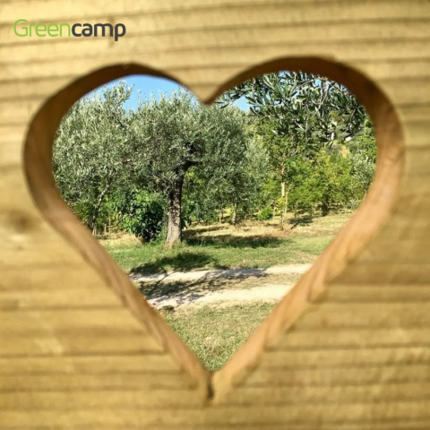 Vue sur des arbres à travers une fenêtre en forme de cœur à Safaritent met badkamer, Les Terrasses de Dordogne.