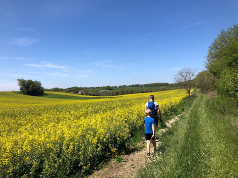 Due persone camminano su un sentiero tra campi gialli al campeggio Camp Redon in Occitania, Francia.
