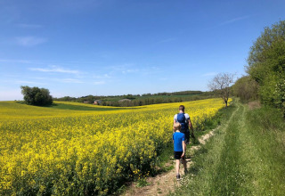 Due persone camminano su un sentiero tra campi gialli al campeggio Camp Redon in Occitania, Francia.