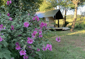 Safari tent at Camp Redon campsite in France, surrounded by trees and purple flowers in sunlight.