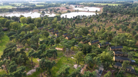 Vue aérienne d'une zone boisée avec plusieurs tiny houses près d’un lac, entourées de nature et d’arbres.
