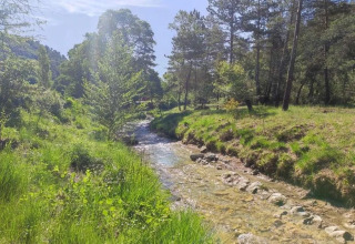 Ruscello limpido tra alberi e prati verdi al campeggio Le Moulin de Cost in Auvergne-Rhône-Alpes.