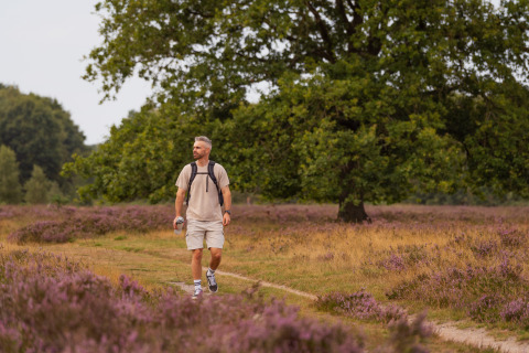 Man hiking on a path near Eco Boslodge Jacuzzi at Estate De IJsvogel, Netherlands, surrounded by nature.