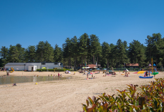 Spiaggia sabbiosa con famiglie e giochi per bambini ad Arden Parks Tulderheyde, immerso nei pini ad Anversa.