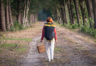 Persona con zaino e cesta cammina su un sentiero boschivo ad Arden Parks Tulderheyde, Anversa, Belgio.